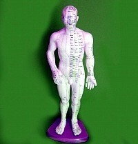 דגמים/ומפות לרפואה סינית